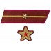 БРИГАДНЫЙ КОМИССАР, БРИГВРАЧ, БРИГВЕТВРАЧ, БРИГВОЕНЮРИСТ войск НКВД, петлицы и нарукавные знаки обр. 1935/36 г..